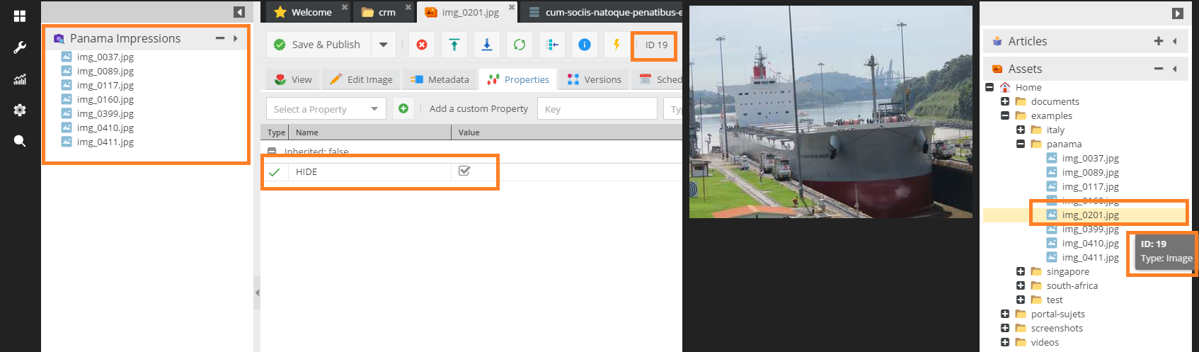 Пользовательские виды