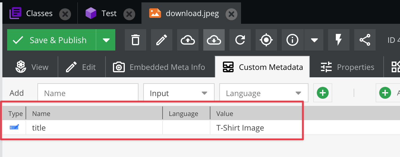 Метаданные актива